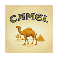 کمل - CAMEL